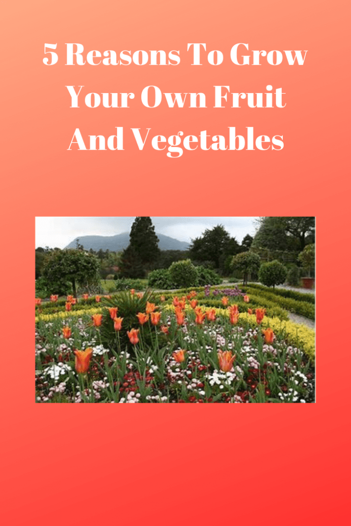 Reasons To Grow Your Own Fruit And Vegetables Vegetarian Blog