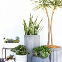 how to amend clay soil for vegetable gardening