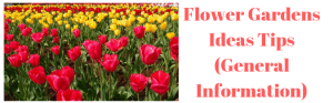 Flower Gardens Ideas