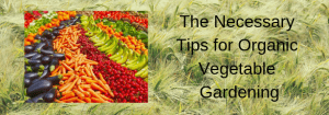 organic products