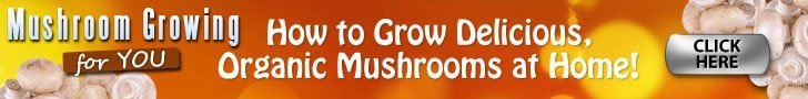 Mushroom Growing