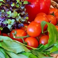 List of Vegetables for Weight Loss