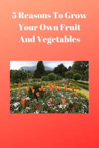 5 Reasons To Grow Your Own Fruit And Vegetables