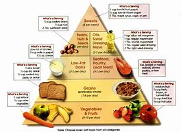 Indian Vegetarian Diet Chart For Bodybuilding