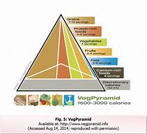 Bodybuilding Meal Plan