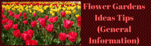 Flower Gardens Ideas Tips (General Information)