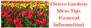 Flower Gardens Ideas 