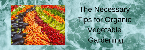 The Necessary Tips for Organic Vegetable Gardening - Vegetarian Blog ...