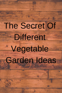 The Secret Of Different Vegetable Garden Ideas