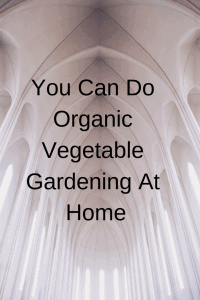 You Can Do Organic Vegetable Gardening