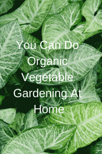 You Can Do Organic Vegetable Gardening At Home