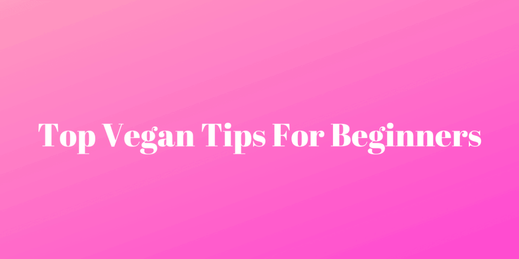 Vegan Tips For Beginners