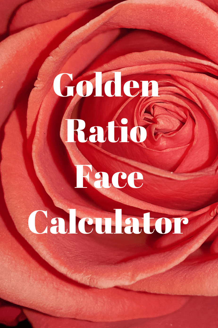 golden-ratio-face-calculator-vegetarian-blog-vegan-tips-recipes