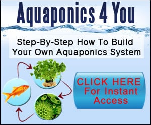 Aquaphonics Growing